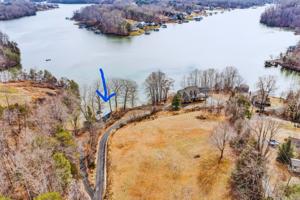 225 Thompson LN