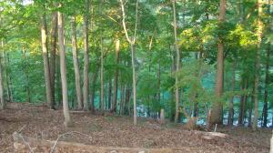 Lot 2 Sweetwater Bay DR
