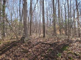 Lot 1 Timberwood LN