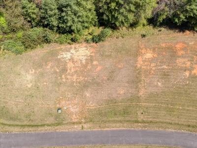 Lot 21 Pine Watch CIR