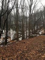 Lot #N/A Lynville DR