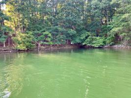 Lot 26 Buck Run DR