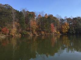Lot 16 Moon Ridge LN