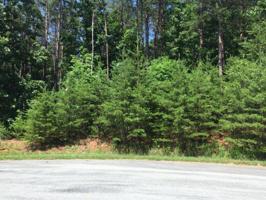 Lot 12 Edgewater DR
