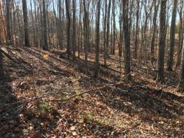 Lot 54 Oak Hollow RD