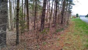 Lot 69-A BOXWOOD GREEN DR