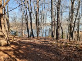 Lot #73 Ivy LN