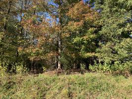 Lot 75 North Church DR