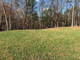 Lot 41 Lakewatch CIR