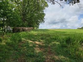 Lot #1 HALES FORD RD
