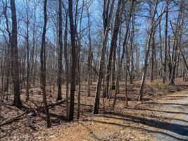 Lot 72 Deerwood DR