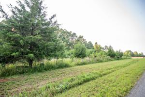 Lot #11 Lot 12 Summerfield RD