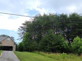 Lot 4 MONTEVISTA RD