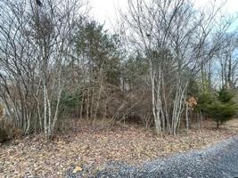 Lot 49 Overlook CIR