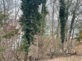 Lot 50 Overlook CIR