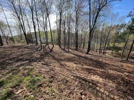 Lot 30 Lakewatch CIR