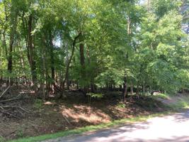 Lot 29-B Larboard DR