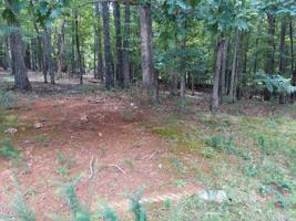 Lot 37 RED FIN LN