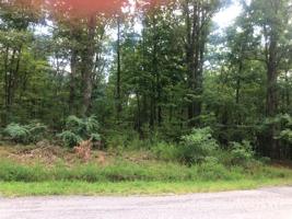 Lot 36 Red Fin LN