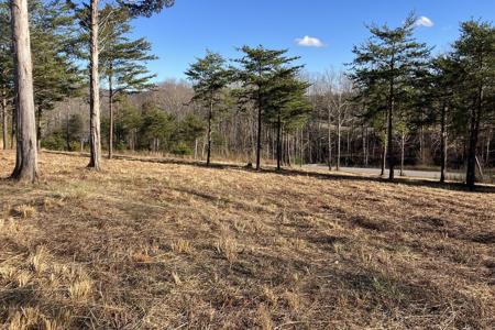 Lot 5 JFK BLVD