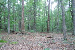 Lot 10 Ravenwood DR