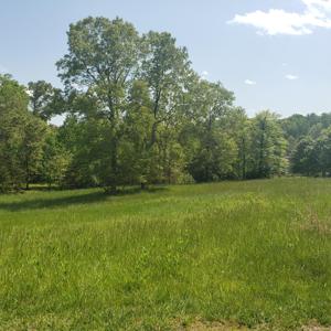 Lot 5 Landfall DR