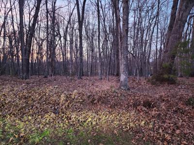 Lot 222 Marina Bay DR
