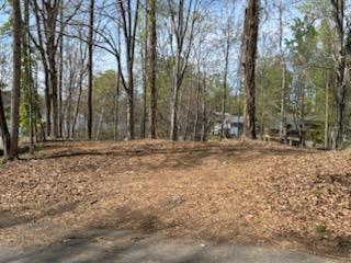 Lot 5 Carlos RD