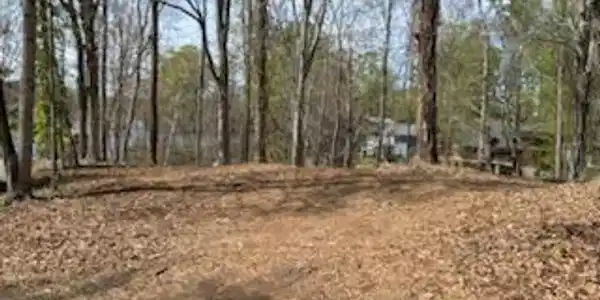 Lot 5 Carlos RD