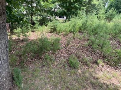 Lot 37 Waterview CT