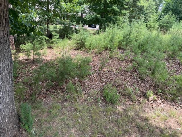 Image 1: front of Lot