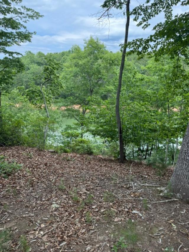 Image 2: another view