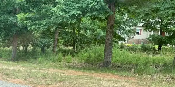 Image 3: Part of current lot..