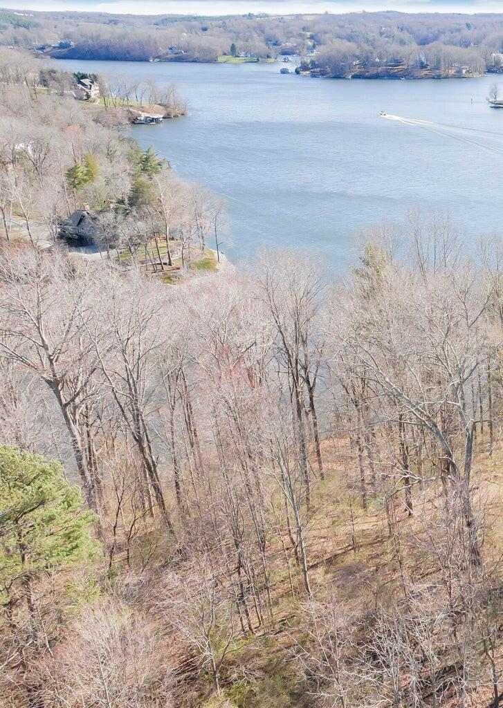 Image 2: Lot 5 Longview Estates Aerial