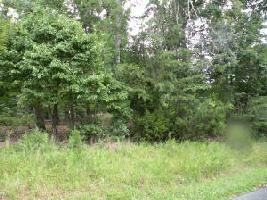 0 Buccaneer RD