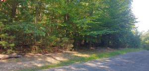 Tract G Cove Side LN