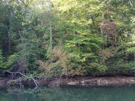 Lot #Tract 5-B Long Horne RD
