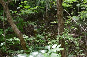 Lot 16 Highland Lake RD