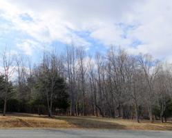 Lot 4 Saint Gregory PL