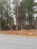 Lot 11 Walnut Run DR