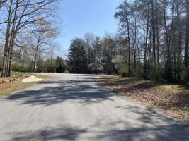 Lot 41 Peach Tree CT