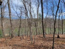 Lot 85 Lakeshore Terrace RD