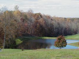 Lot 67 Peaks View DR