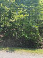 Lot 21 Cedar Bluff LN