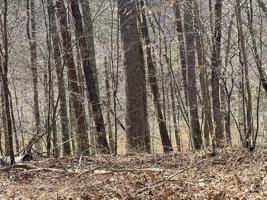 Wysong Mill RD