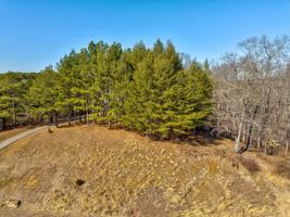 Lot 48 Lakewatch CIR