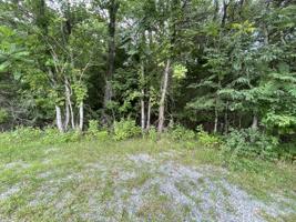 Lot 61 Mountain Vista CIR