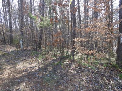 Lot 1 Inlet DR