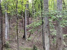 Lot 292 Dormie LN