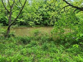 Lot #2 Fishermans Cove RD